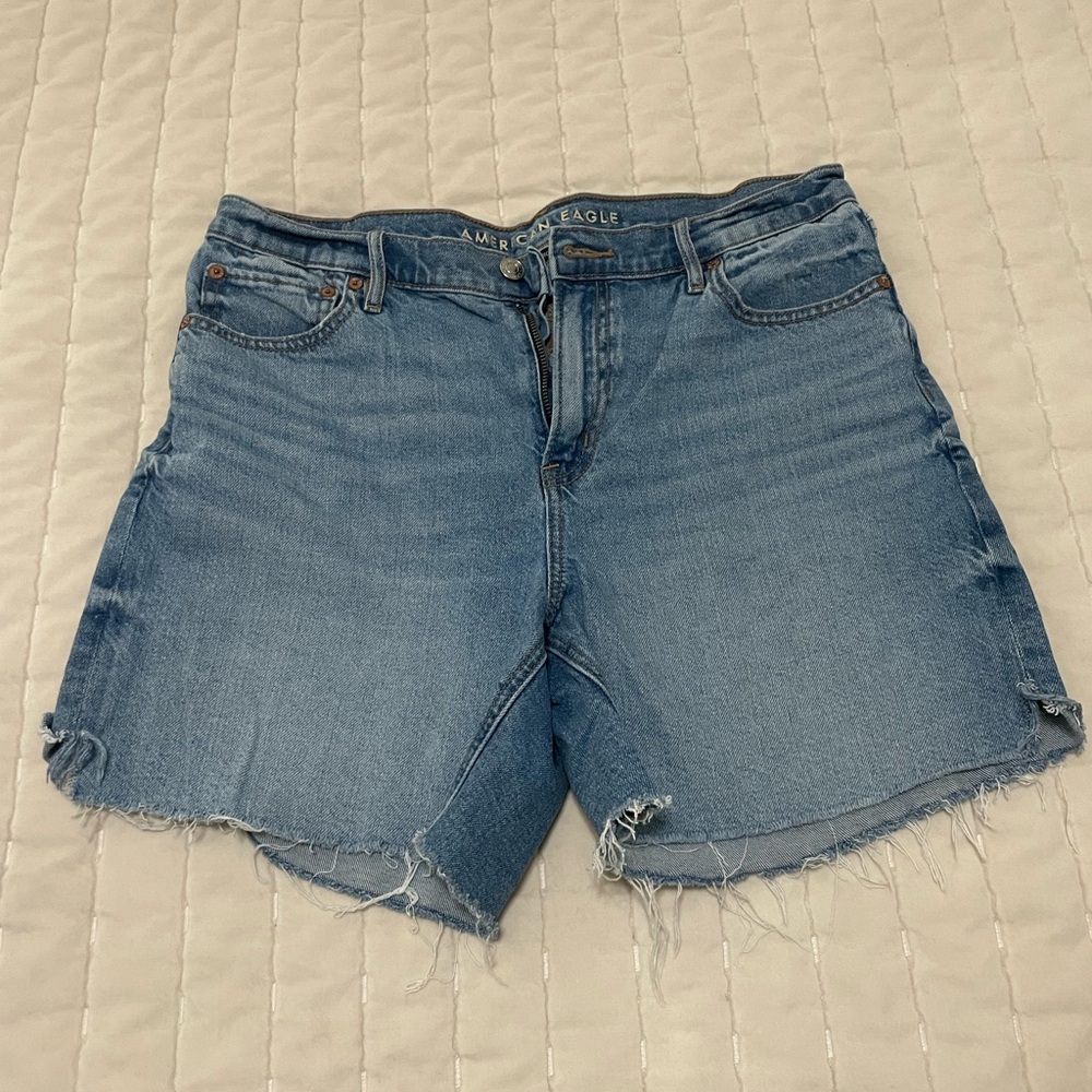 American Eagle Outfitters Light Blue Jean Shorts